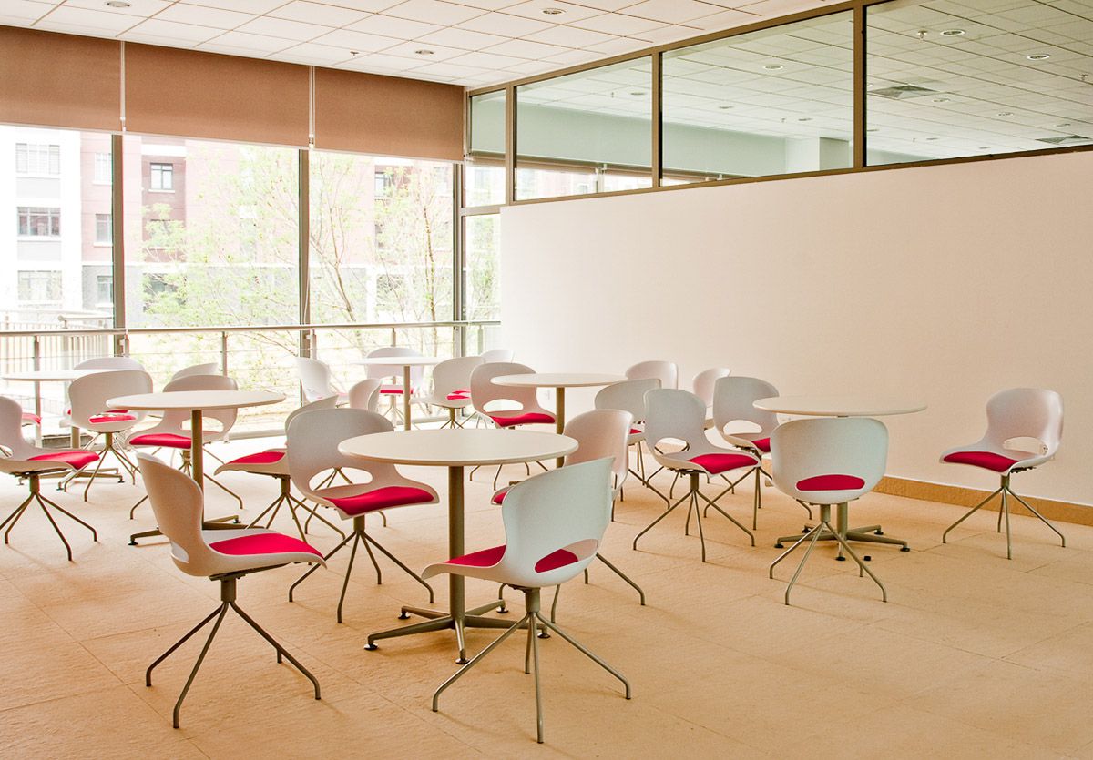 天津經(jīng)濟技術(shù)開發(fā)區(qū)國際學(xué)校